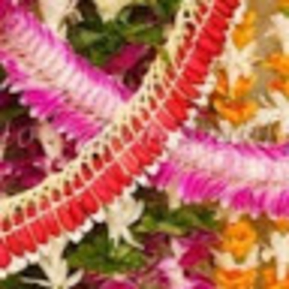 Meet your Posher, Sheila d